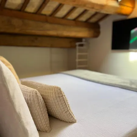 Domus Cerchio 19 - Affitti Brevi Italia * Ravenna